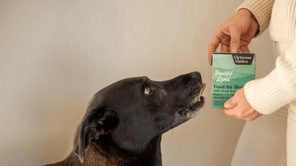 Bountiful Land Food for Dogs - Subscription - Vegan America