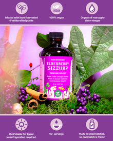 Wholesale case (12-pack) - Vegan Elderberry SizZurp