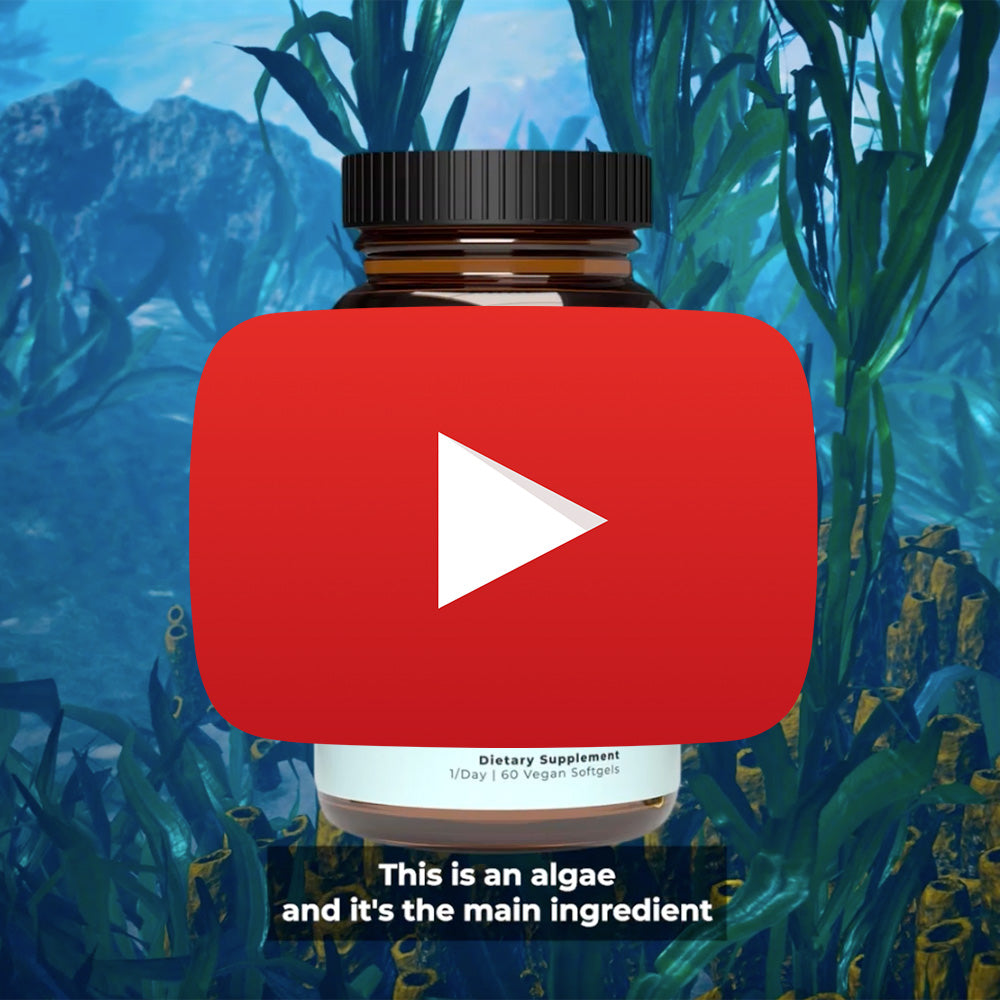 Vegan Omega 3 Supplement - 500mg DHA + EPA Algal Oil