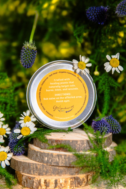 VEGAN SELF HEAL • Salve & healing lotion for cuts, burns, and wounds with Self Heal, Calendula, Goldenrod, and Chamomile ⭐️ ON SALE ⭐️