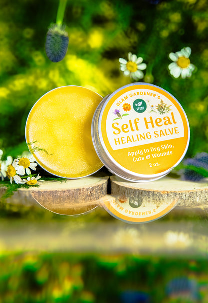 VEGAN SELF HEAL • Salve & healing lotion for cuts, burns, and wounds with Self Heal, Calendula, Goldenrod, and Chamomile ⭐️ ON SALE ⭐️