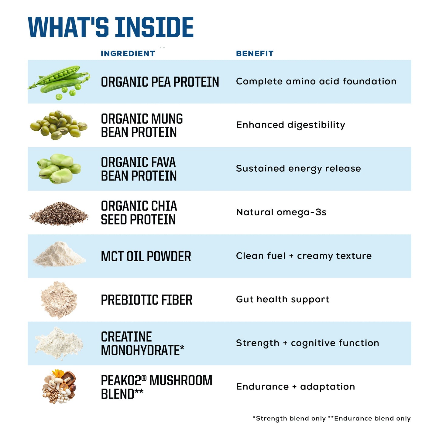 ORGANIC PLANT BASED PROTEIN POWDER