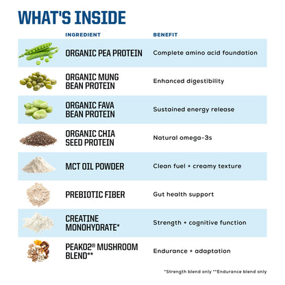 ORGANIC PLANT BASED PROTEIN POWDER