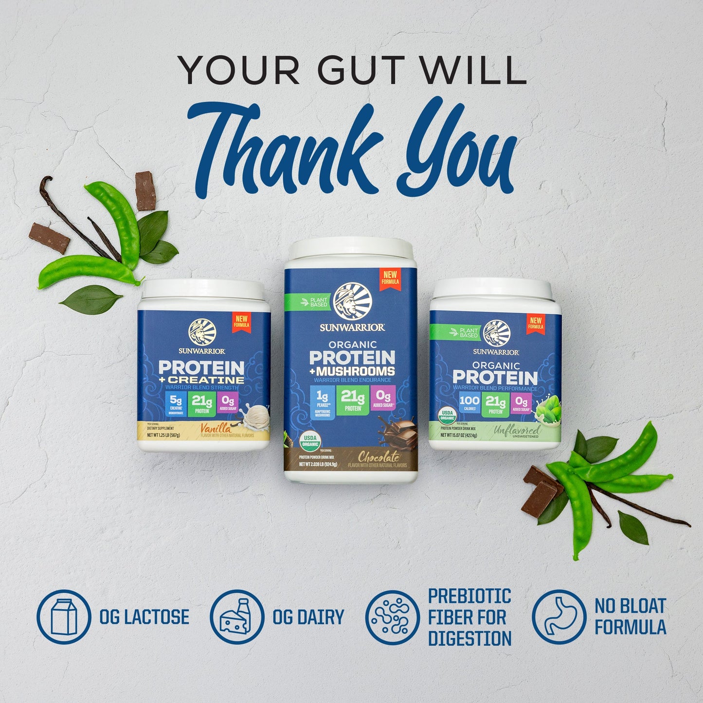 ORGANIC PLANT BASED PROTEIN POWDER