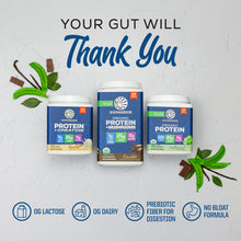ORGANIC PLANT BASED PROTEIN POWDER