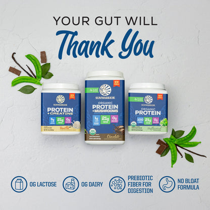 ORGANIC PLANT BASED PROTEIN POWDER
