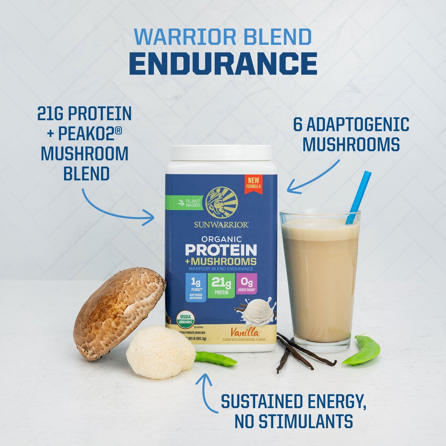 ORGANIC PLANT BASED PROTEIN POWDER