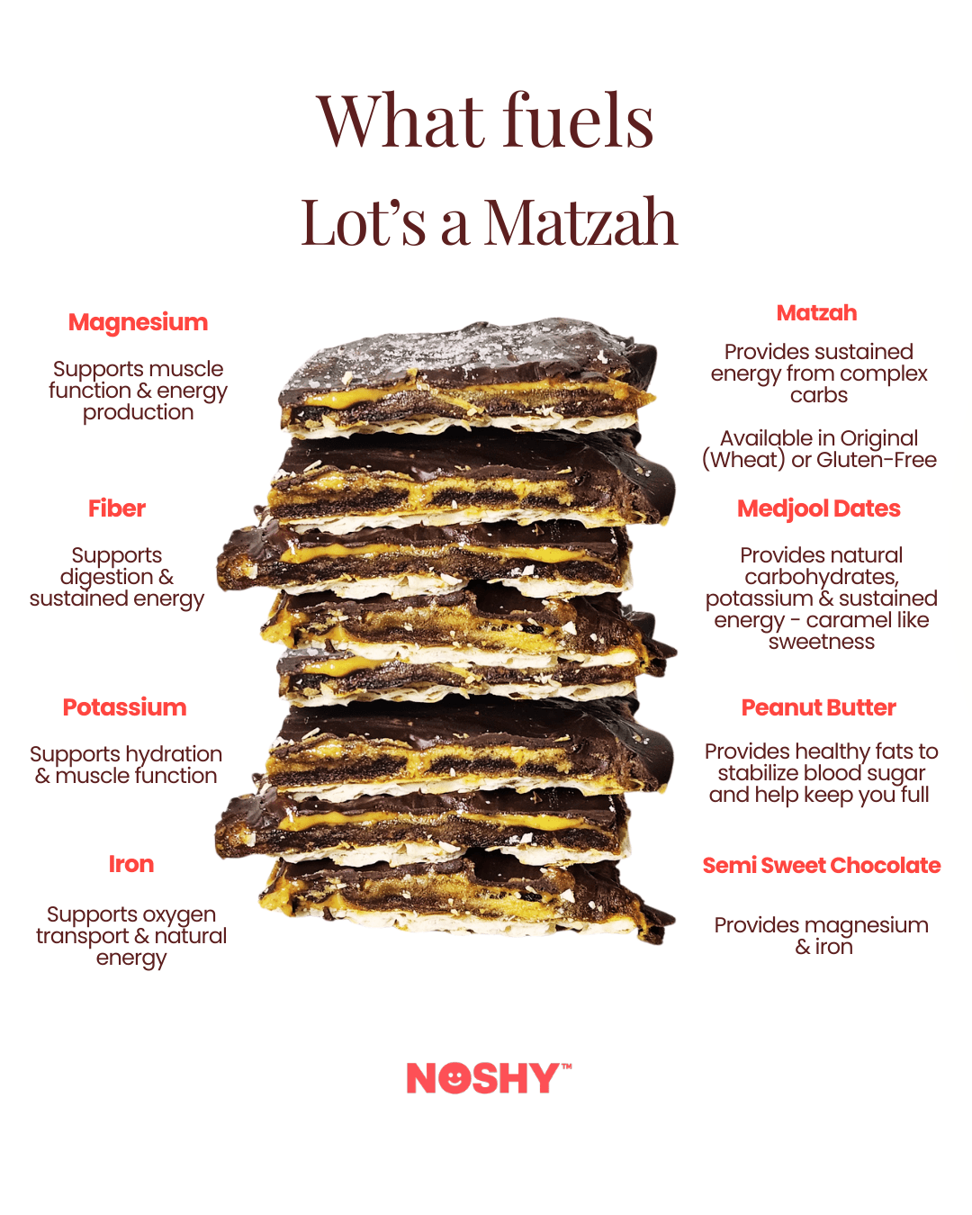 Lot's a Matzah (Gluten - Free) (3 - Pack) - Vegan America