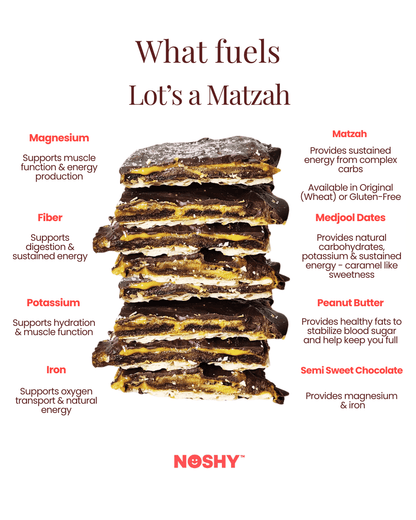 Lot's a Matzah (Gluten - Free) (3 - Pack) - Vegan America