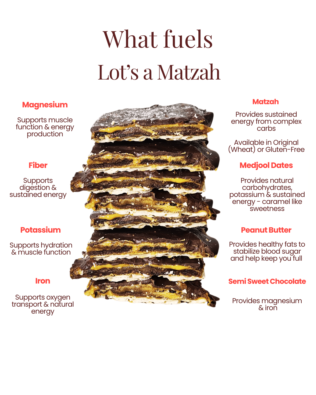 Lot's a Matzah (Original) (3 - Pack) - Vegan America