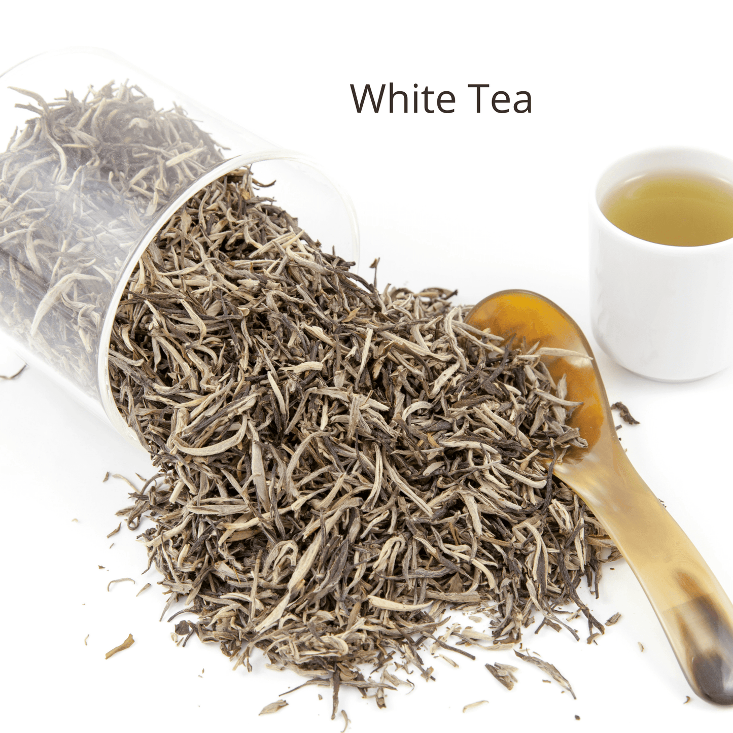 Pomegranate + White Tea Toner