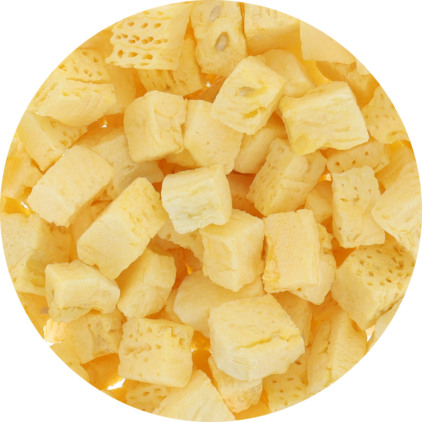 Freeze Dried Yellow Watermelon