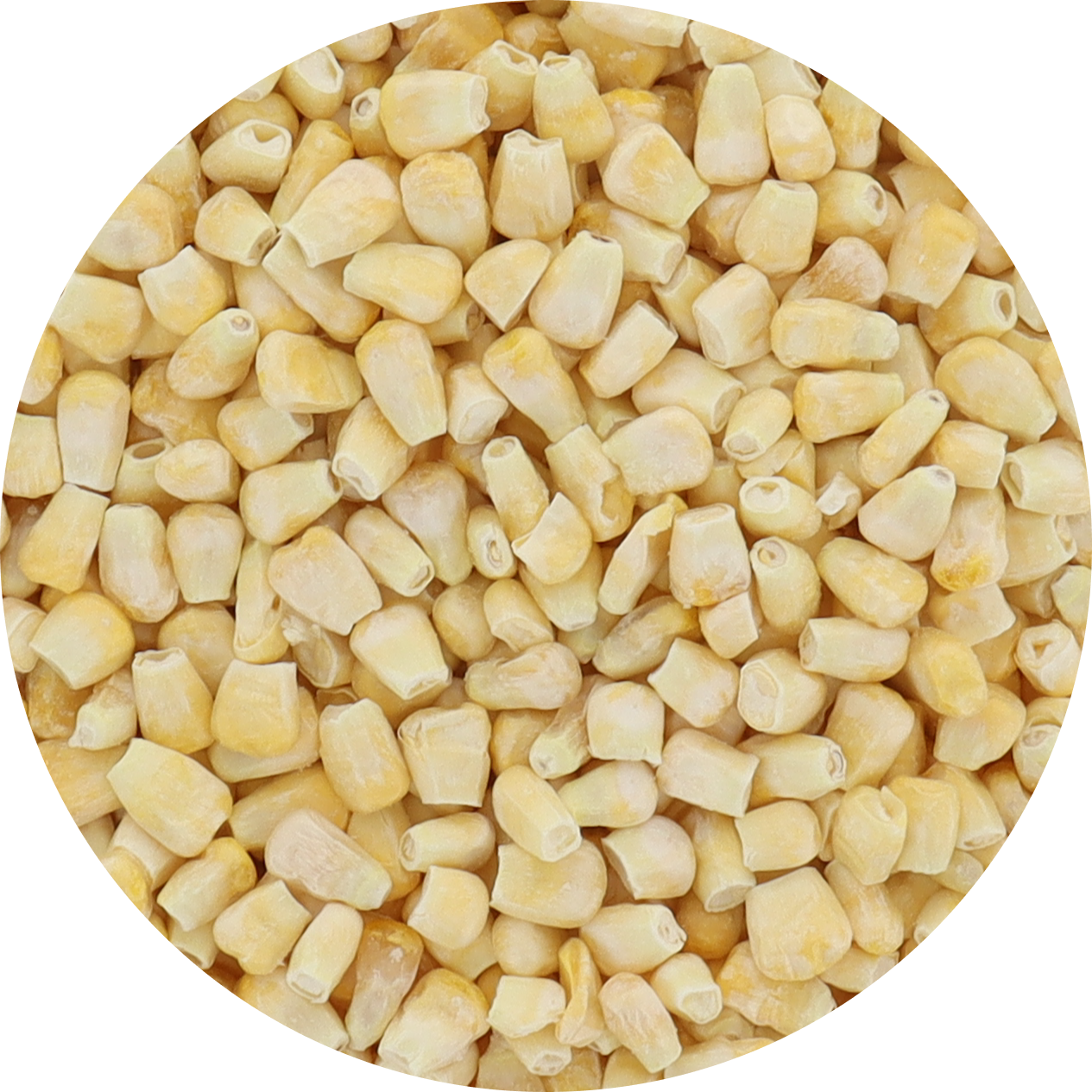 Freeze Dried Corn - Super Sweet