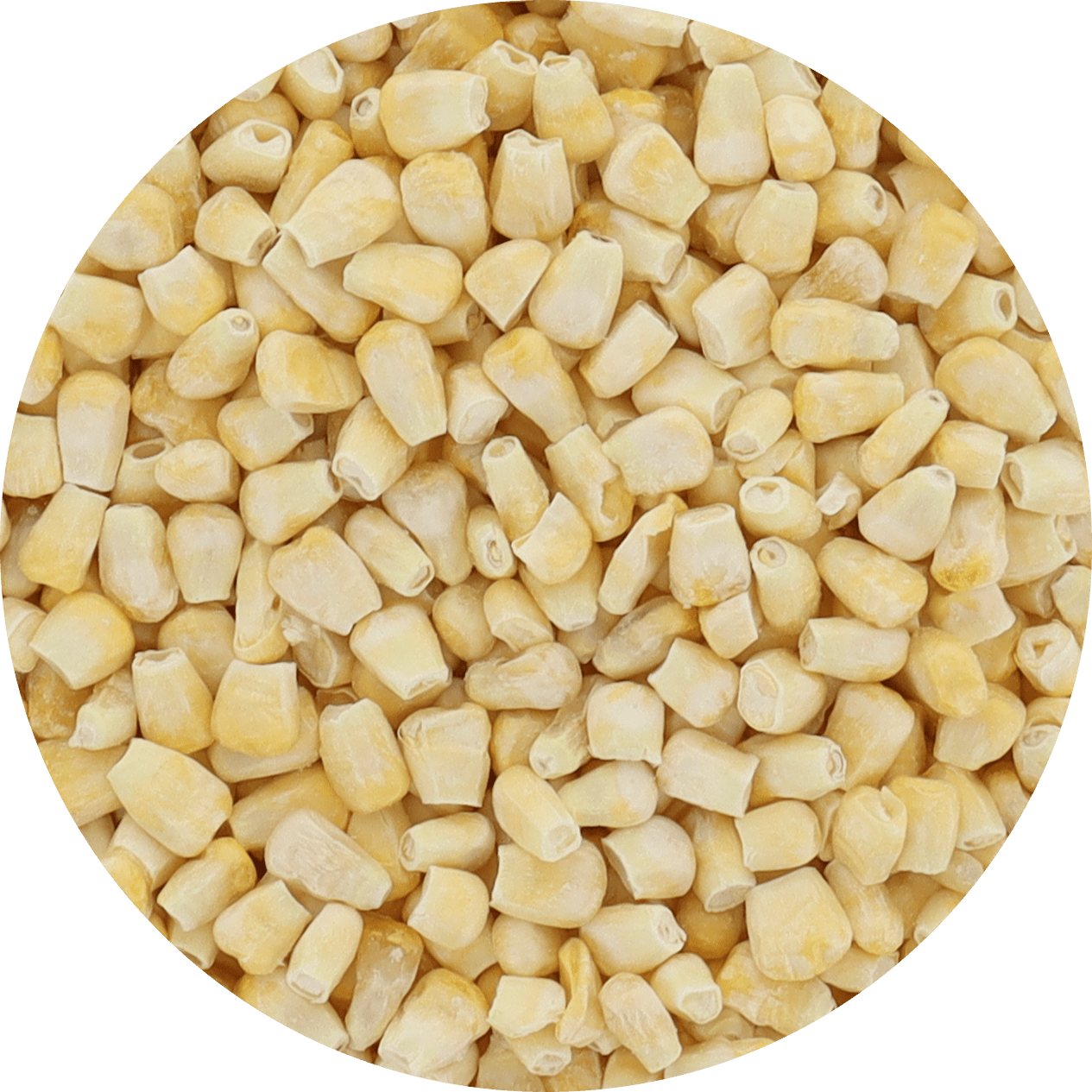 Freeze Dried Corn - Fire Roasted - Vegan America