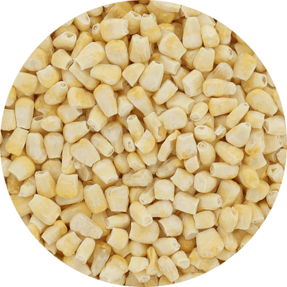 Freeze Dried Corn - Fire Roasted - Vegan America