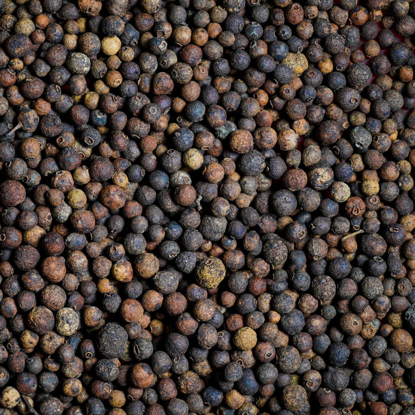Allspice, AKA Jamaica pepper, Myrtle Pepper, Dried berry of Pimenta Dioica - Vegan America