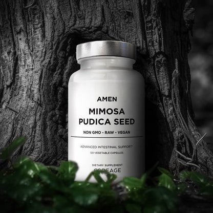 Amen Mimosa Pudica Seed