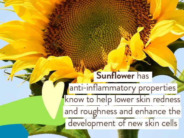 Sensitive Baby Mineral Sunscreen Stick SPF50 Duo