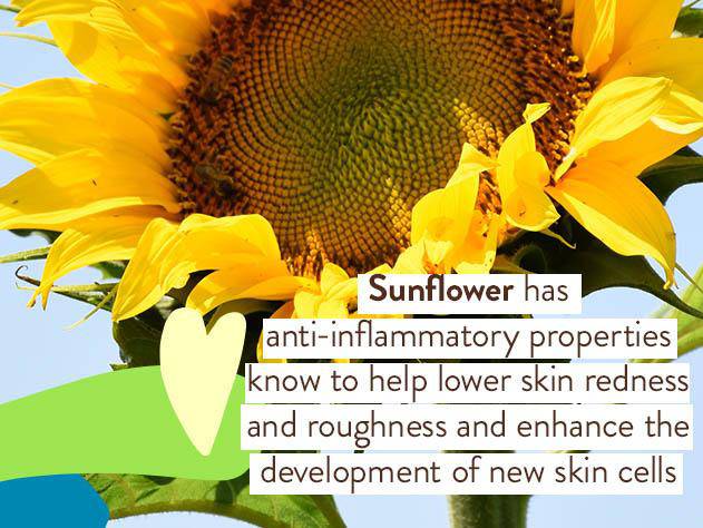 New Beauty Award-Winning Sunscreen & After Sun