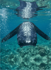 Unisex Eco Oversized Bomber — Whale Limited Edition - Vegan America