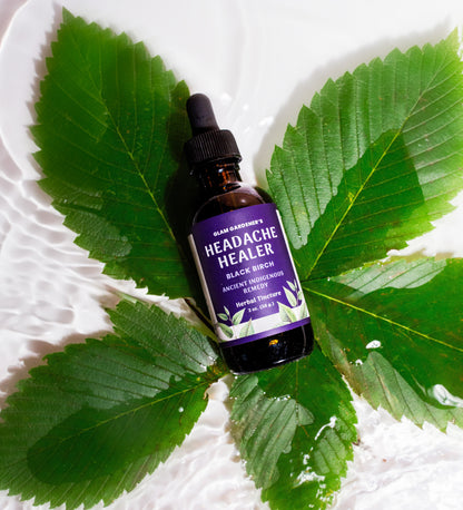 Headache Healer: Black Birch Herbal Tincture