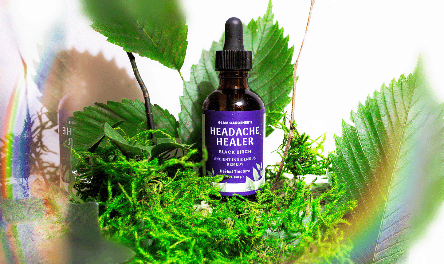 Headache Healer: Black Birch Herbal Tincture
