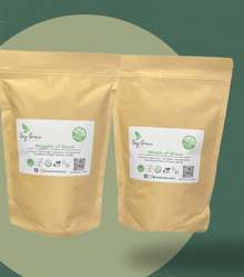 Nuggets and Shreds of Grace - Vegan America