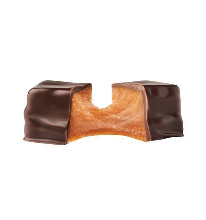 Peanut Butter Chocolate Covered Date Caramels - 6pk