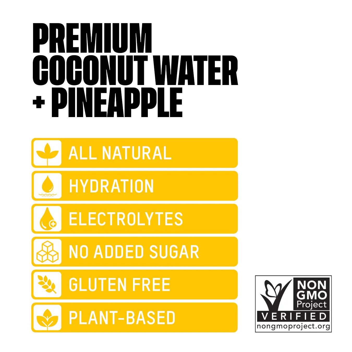 Premium Coconut Water + Pineapple - Vegan America