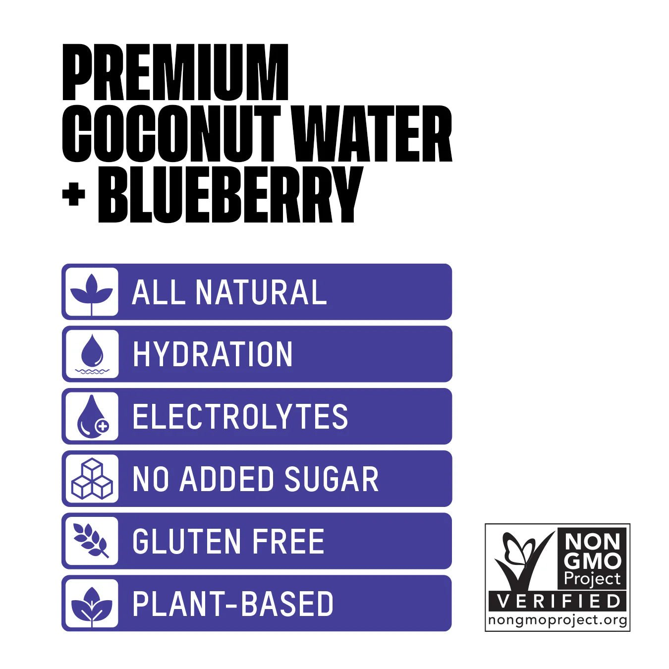 Premium Coconut Water + Blueberry - Vegan America