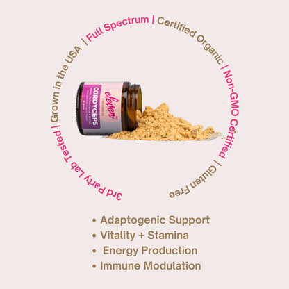 Organic Cordyceps Mushroom Powder - Vegan America