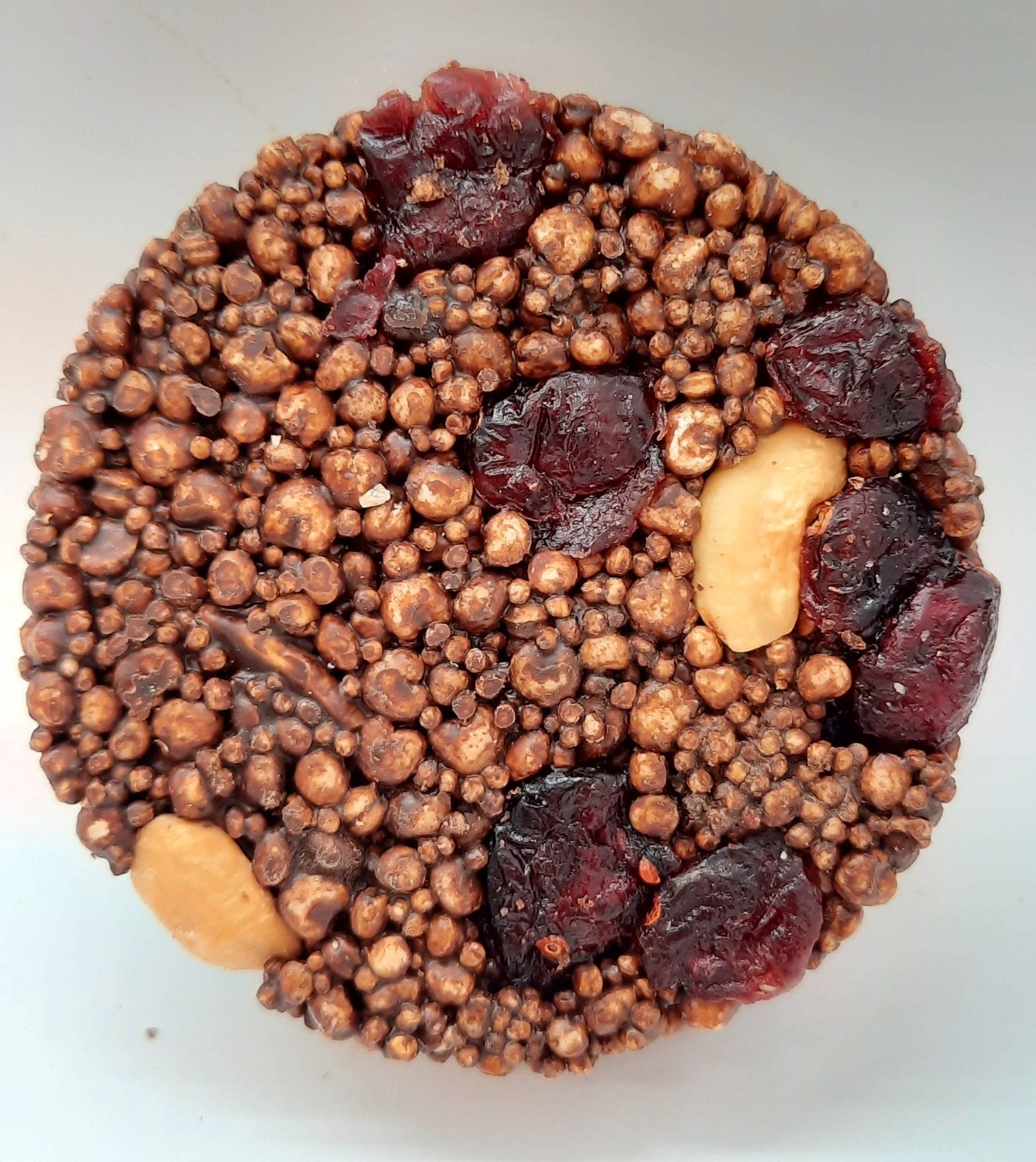 NEW Extra Dark Chocolate Alegria Bites w/ Cranberries + Cashews - Vegan America