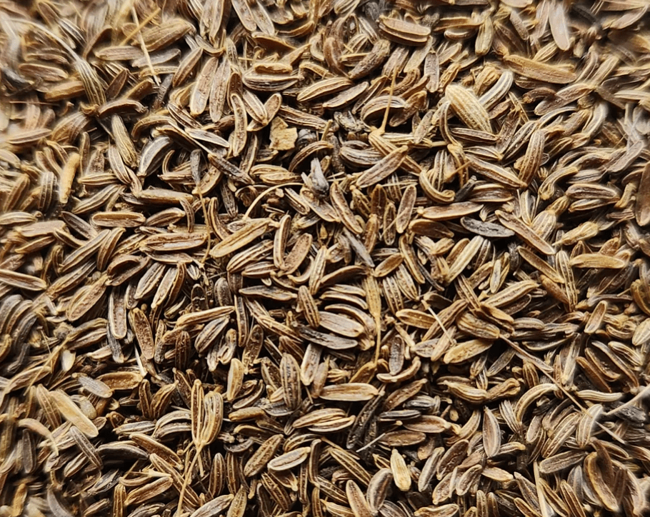 Afghanistan Wild Mountain Cumin - Vegan America