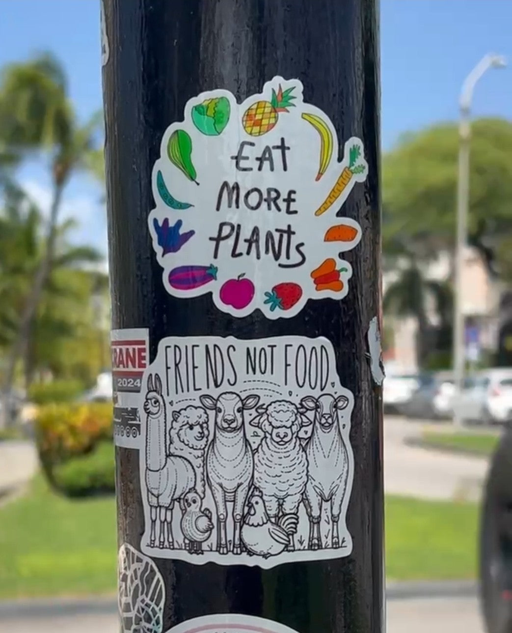 Eat More Plants