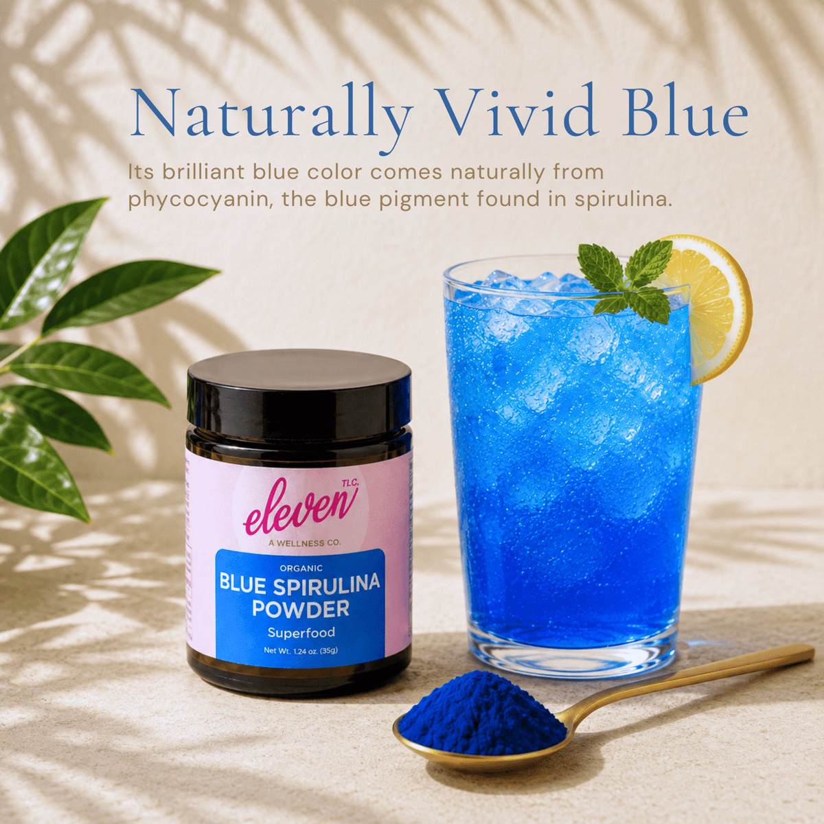 Organic Blue Spirulina Powder | Phycocyanin & Natural Blue Food Coloring | 35 g - Vegan America