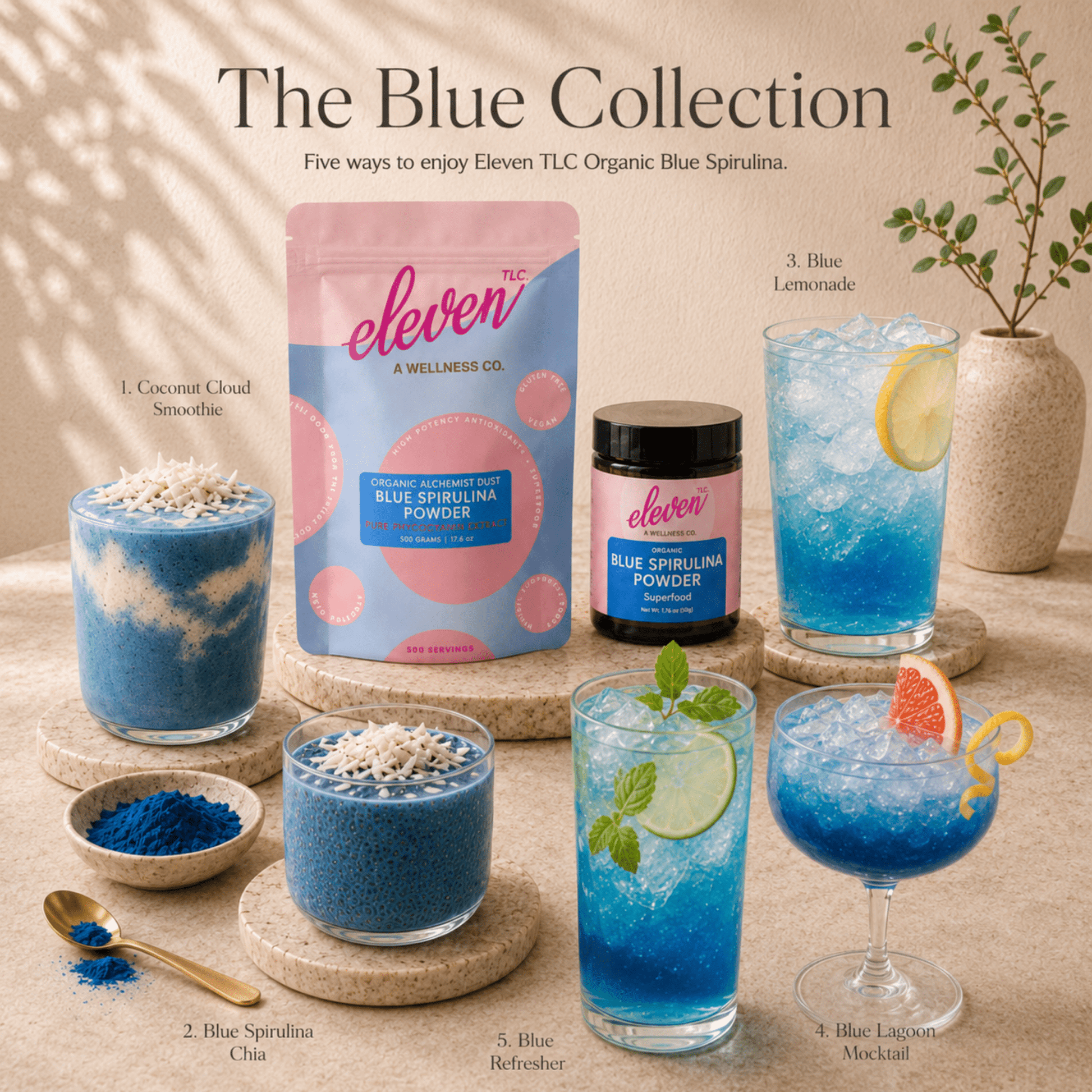Organic Blue Spirulina Powder | Vegan Superfood | 500g Bulk Foodservice - Vegan America