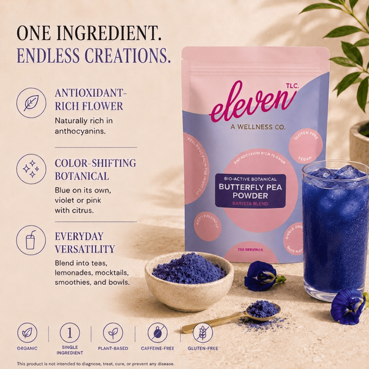 Butterfly Pea Flower Powder | Blue Matcha | 500g Bulk Foodservice - Vegan America