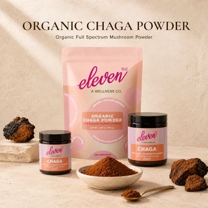 Eleven TLC Organic Chaga Mushroom Powder in 41g and 82g amber glass jars and the 500g pouch, with chaga chunks and a bowl of powder on a warm cream background.