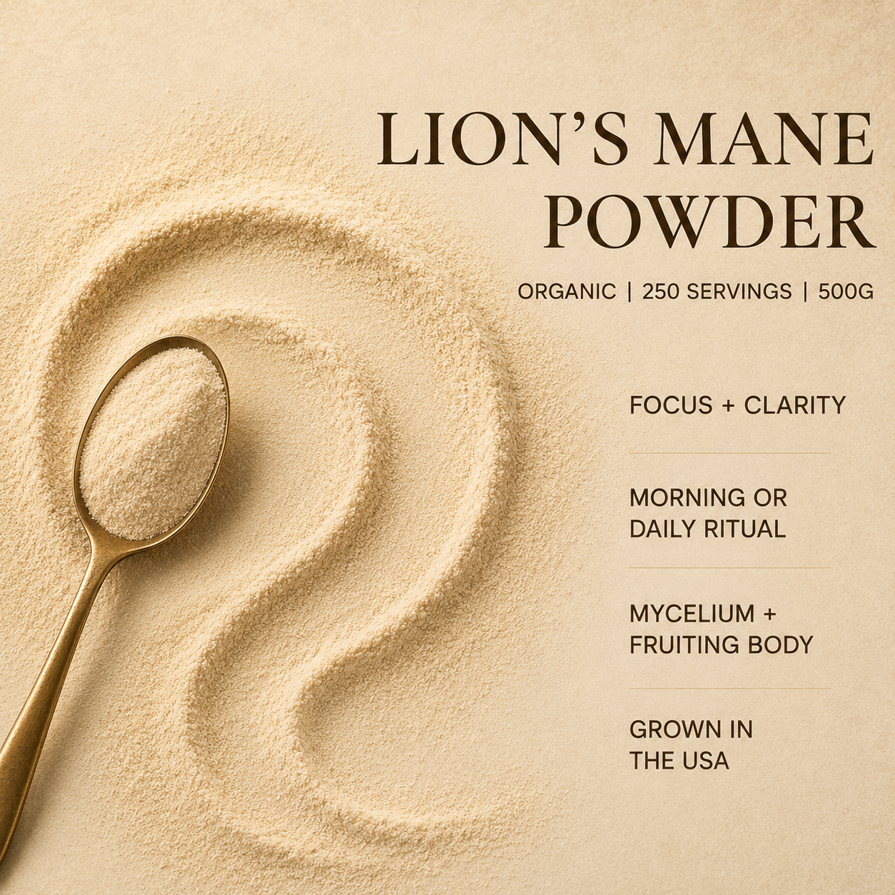 Organic Lion's Mane Mushroom Powder | Focus & Clarity | 500g Bulk Foodservice