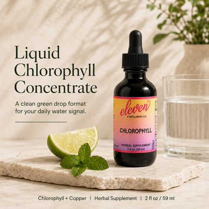 Liquid Chlorophyll Concentrate bottle with lime, mint, and water glass on stone surface.