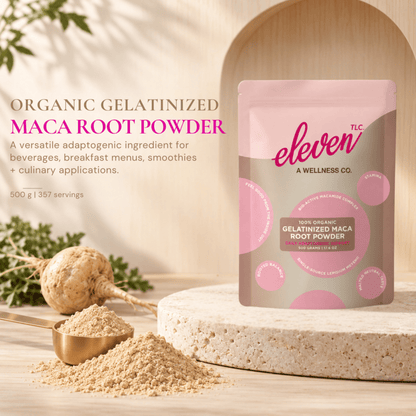Organic Gelatinized Maca Root Powder | 500g Bulk Foodservice - Vegan America