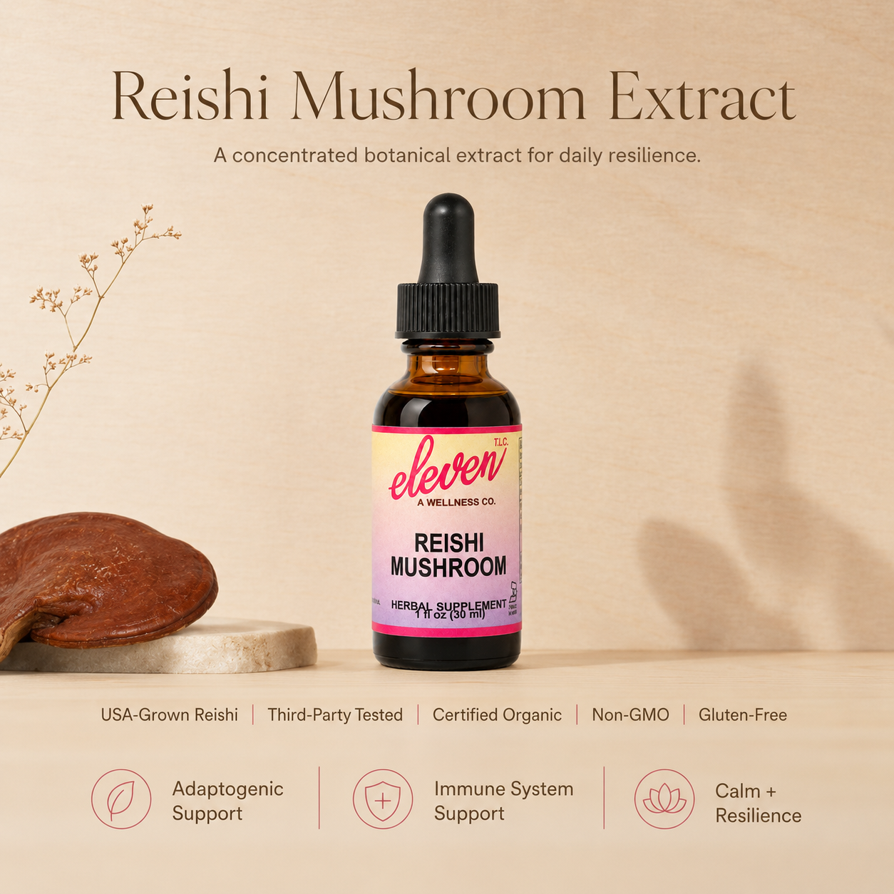 Reishi mushroom tincture graphic highlighting adaptogenic and immune system support benefits for daily resilience.