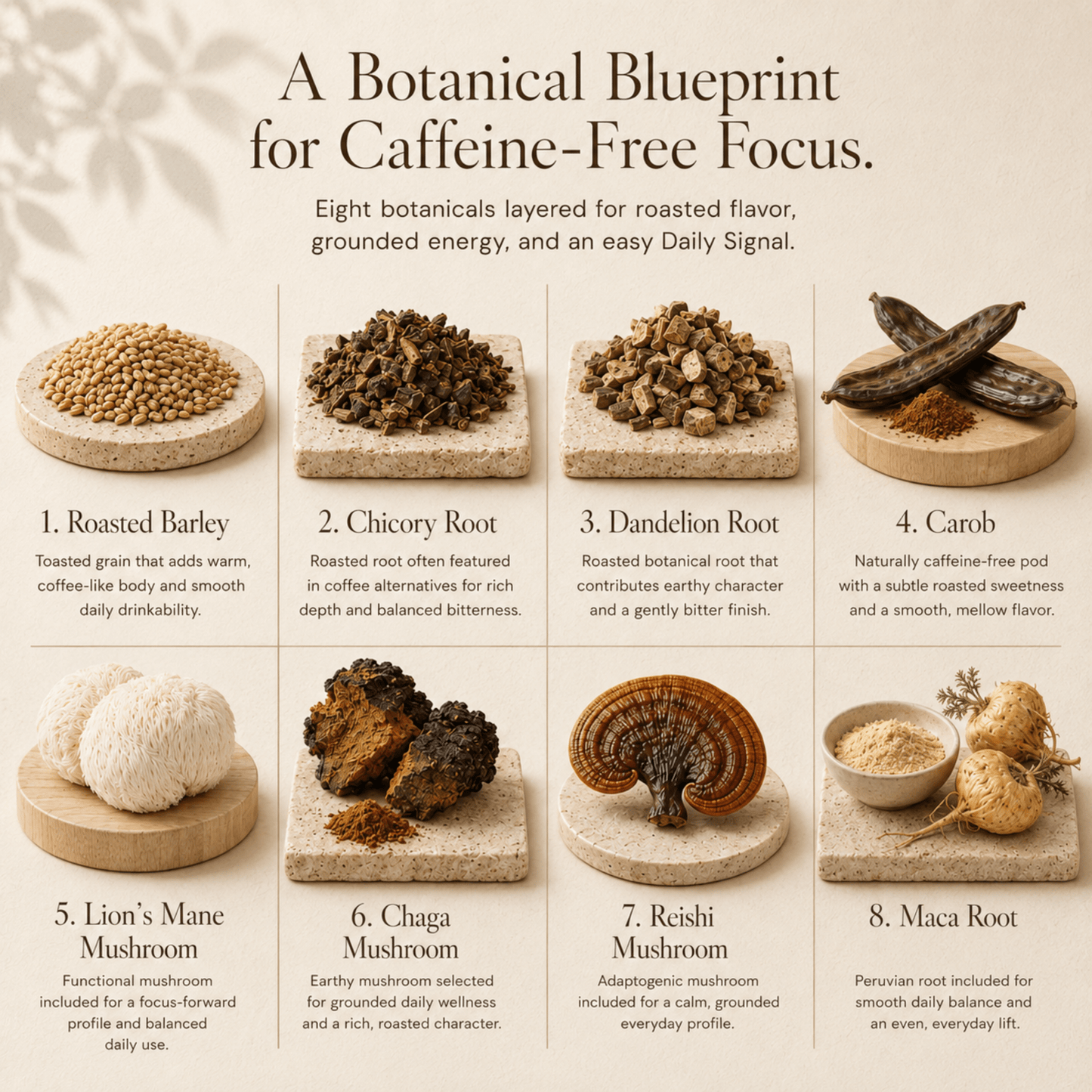 Shroomie 8-Adaptogen Superfood Blend | Caffeine-Free Coffee Alternative - Vegan America