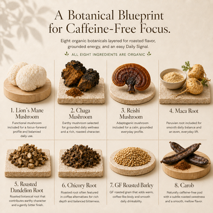 Eleven TLC Shroomie botanical blueprint showing 8 functional ingredients including Lion's Mane, Reishi, and Chaga mushrooms.