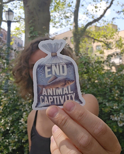 End Animal Captivity
