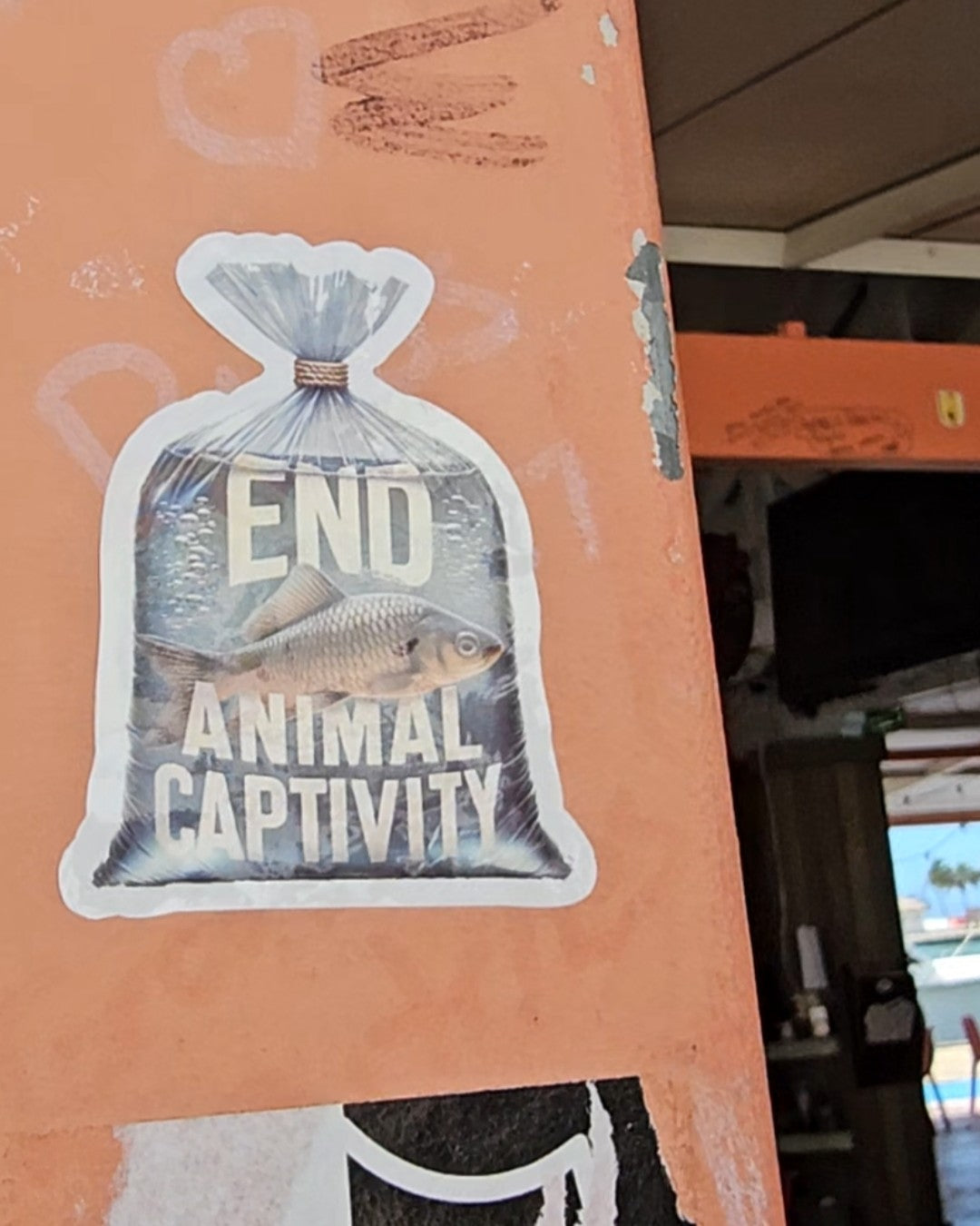 End Animal Captivity