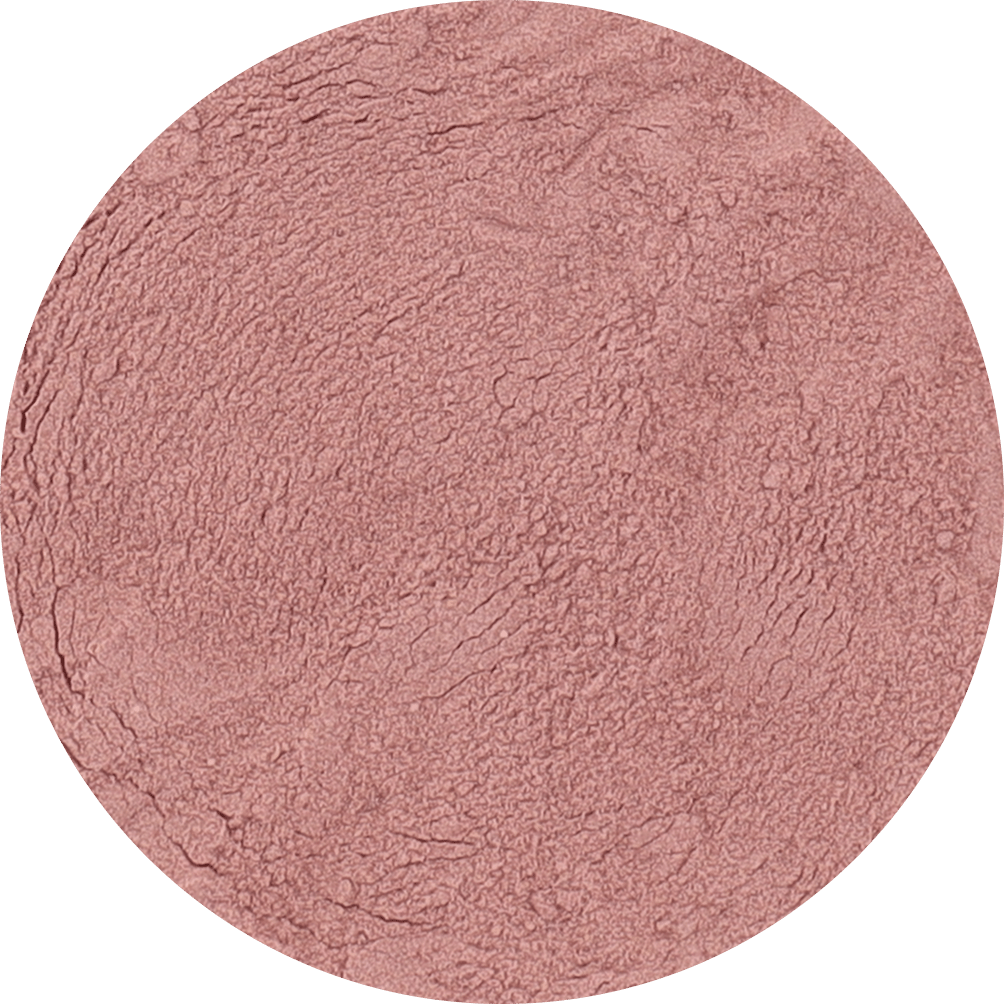 Freeze Dried Figs Powder - Vegan America