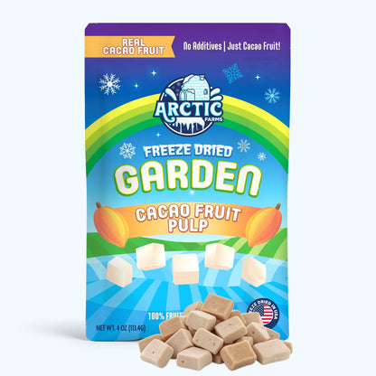 Freeze Dried Cacao Fruit Pulp