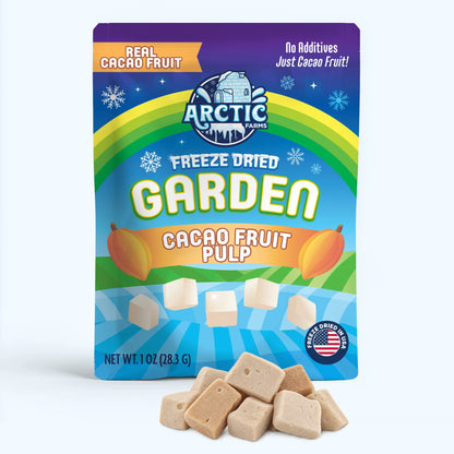 Freeze Dried Cacao Fruit Pulp