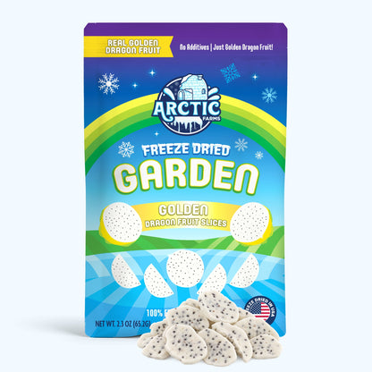 Freeze Dried Golden Dragon Fruit Slices